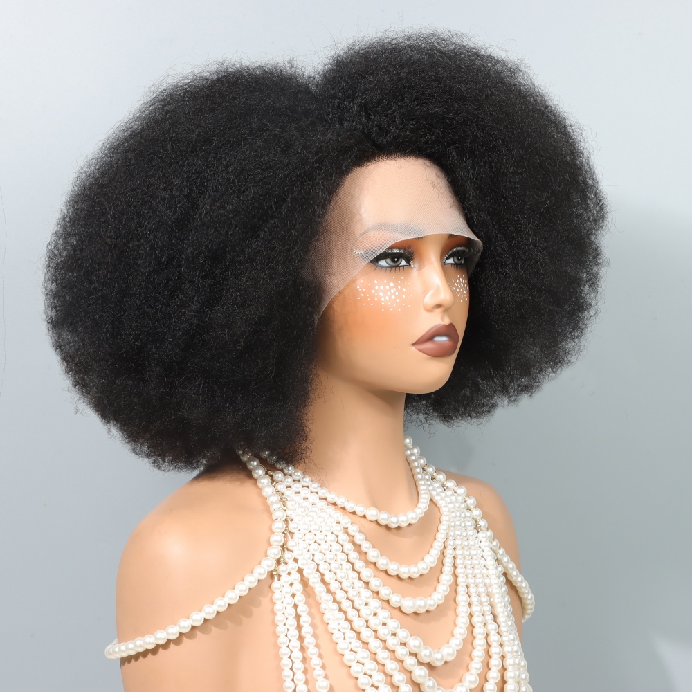 14 Inch Afro Wigs for Black Wo - Women'S Shoes Bobs ulasan dan harga